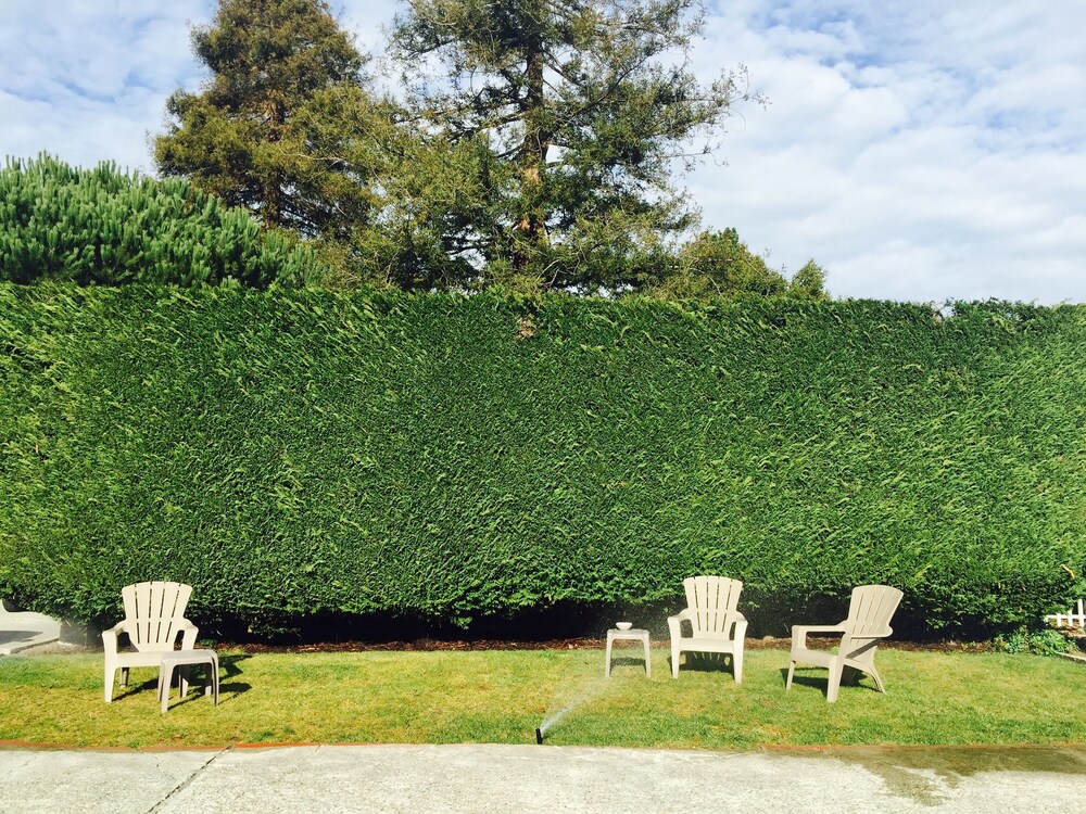 Harbor Inn - photo 18