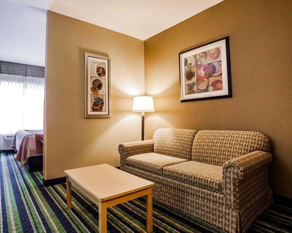 Comfort Inn Kansas City Airport - photo 10