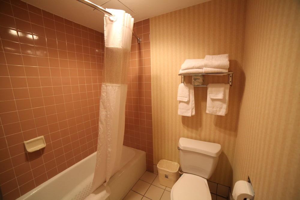 Hotel Le Rêve Pasadena - photo 17