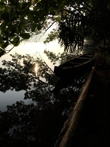 Big Banana Island Retreat — Cochin — photo 3