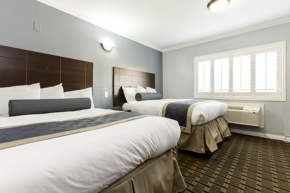Hollywood Palms Inn and Suites - photo 3