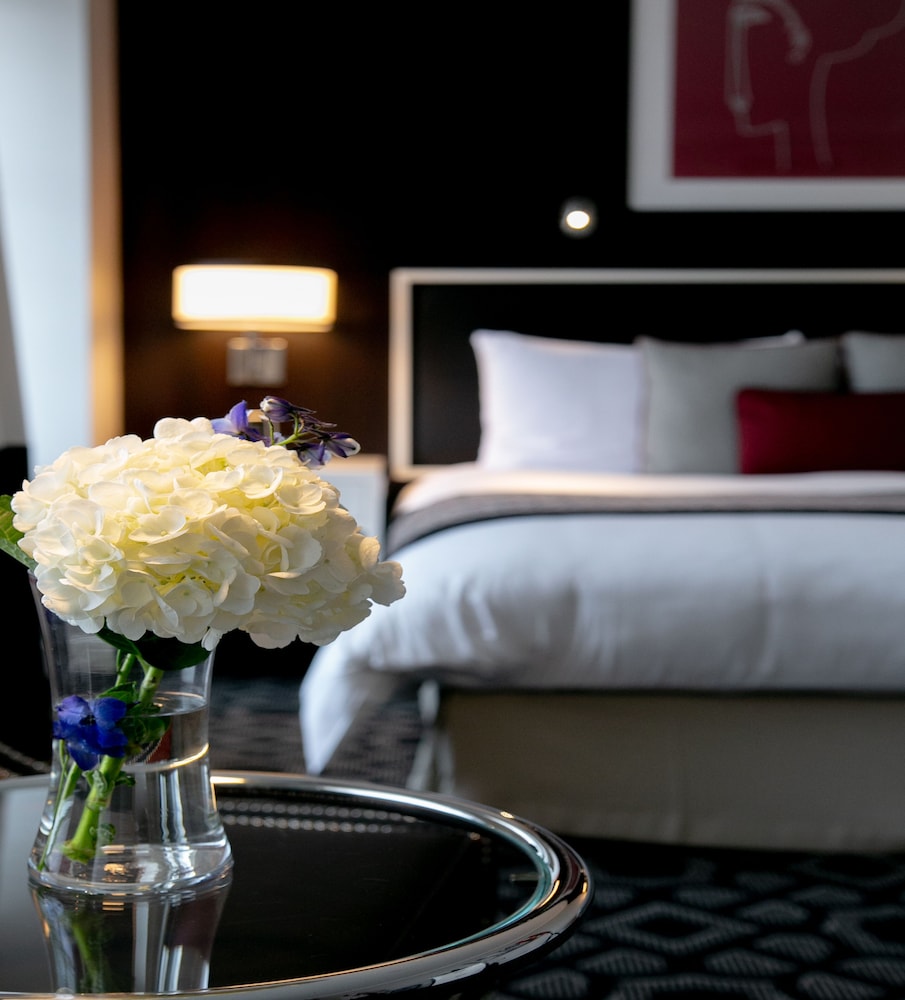 Sofitel Washington DC Lafayette Square - photo 15