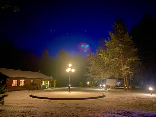 Vanago Lizdas — Druskininkai — photo 3