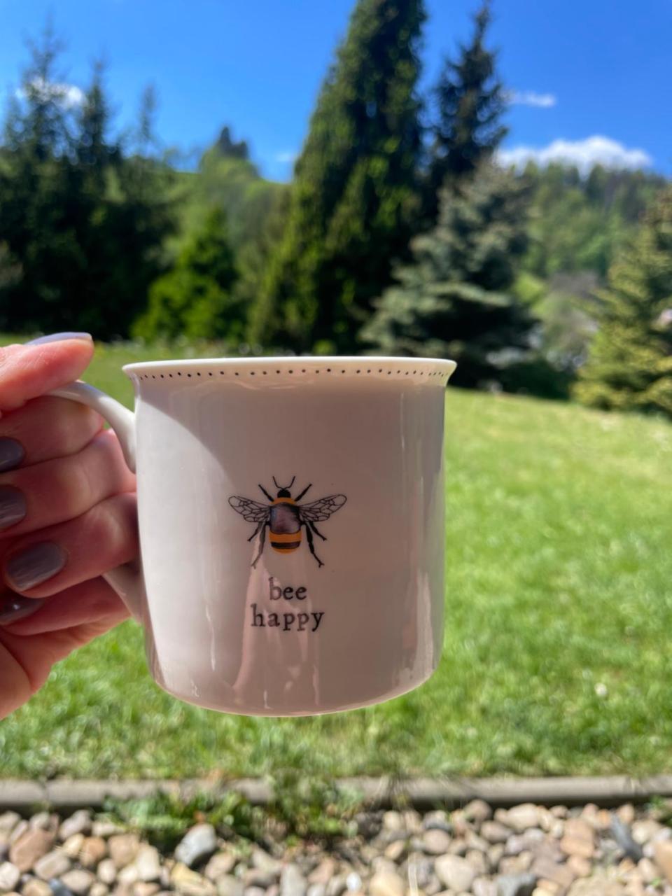 Chalupa Sněženka in Benecko, Czech Republic