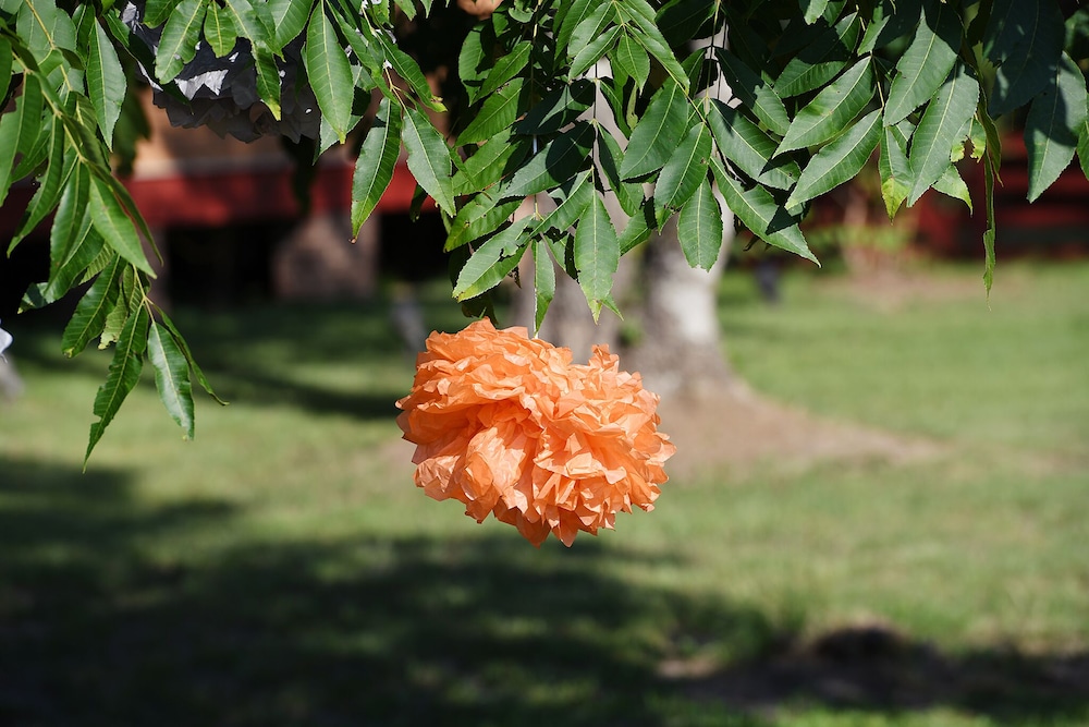 Coulter Farmstead - photo 111