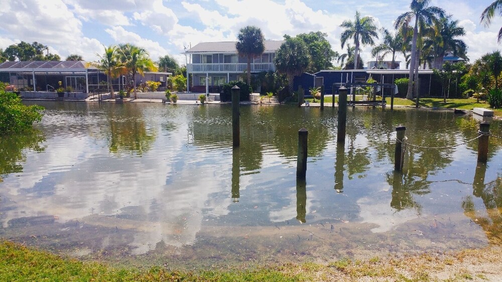 Flamingo Inn Bayside Suites - photo 51
