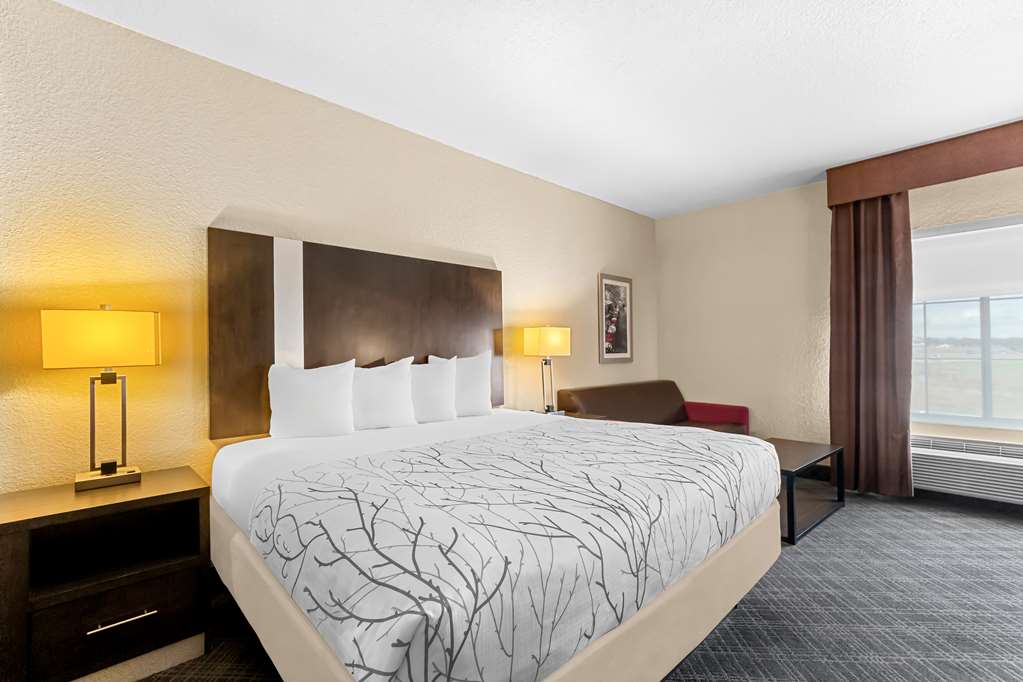 Best Western Boerne Inn & Suites - photo 9