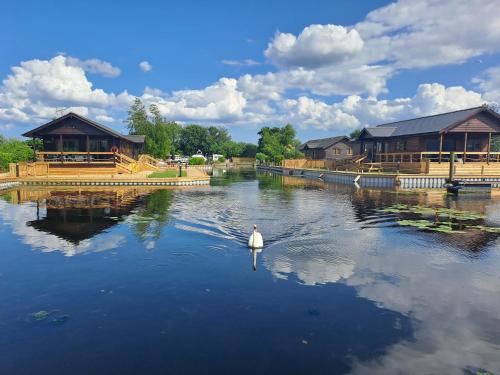 River Bay Norfolk Broads in Brundall, United Kingdom