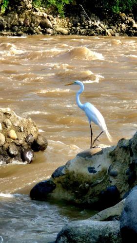 Mirador del Río in Honda, Colombia