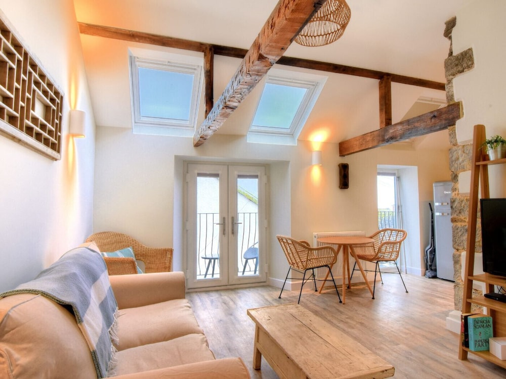 Kittiwake in Lyme Regis, United Kingdom