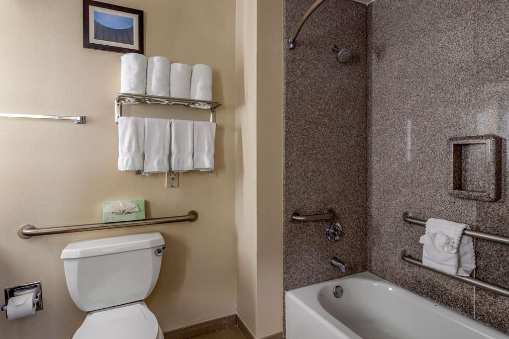Comfort Suites Houston near Medical Center NRG Stadium - photo 11