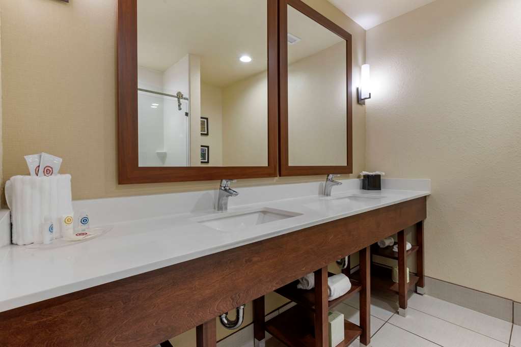 Comfort Suites Piedmont Greenville South - photo 23