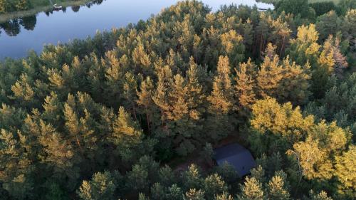 Bijunu Silas in Unknown City, Lithuania