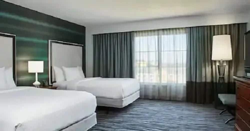 Embassy Suites by Hilton Orlando Airport - photo 10