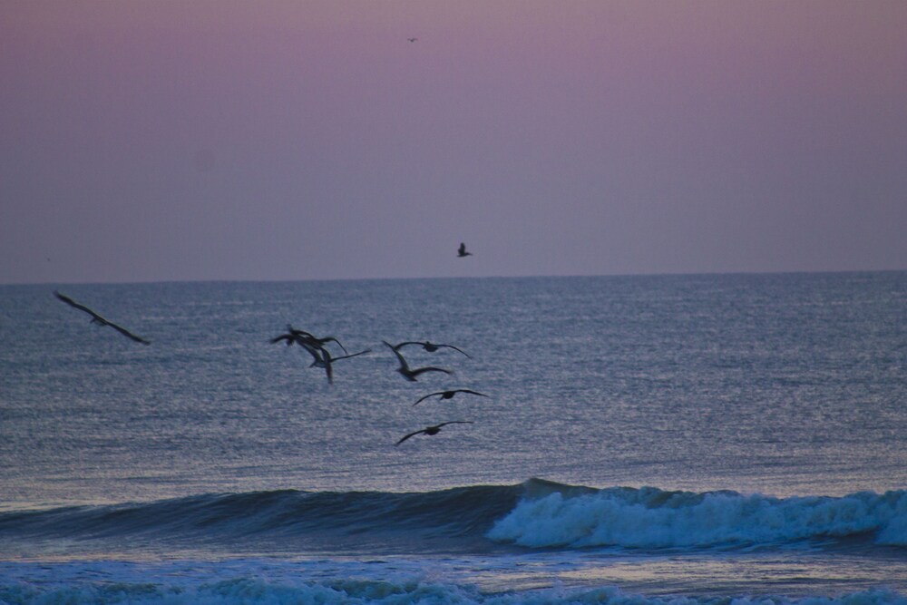 Makai Beach Lodge - photo 44