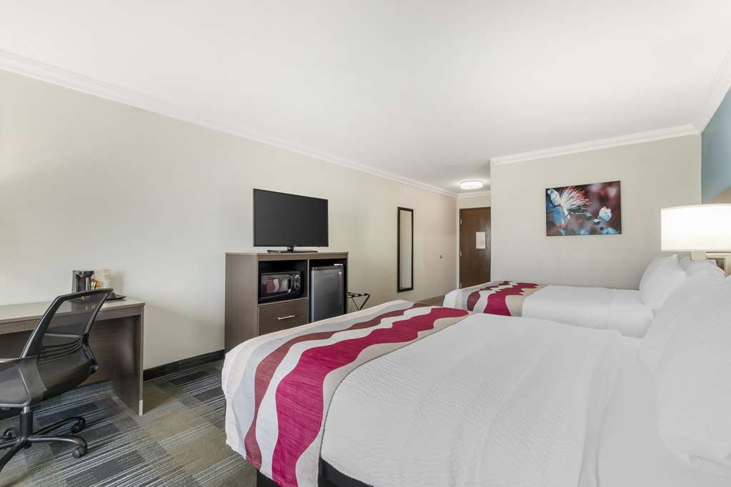 Best Western Medical Center North Inn & Suites Near Six Flags - photo 22