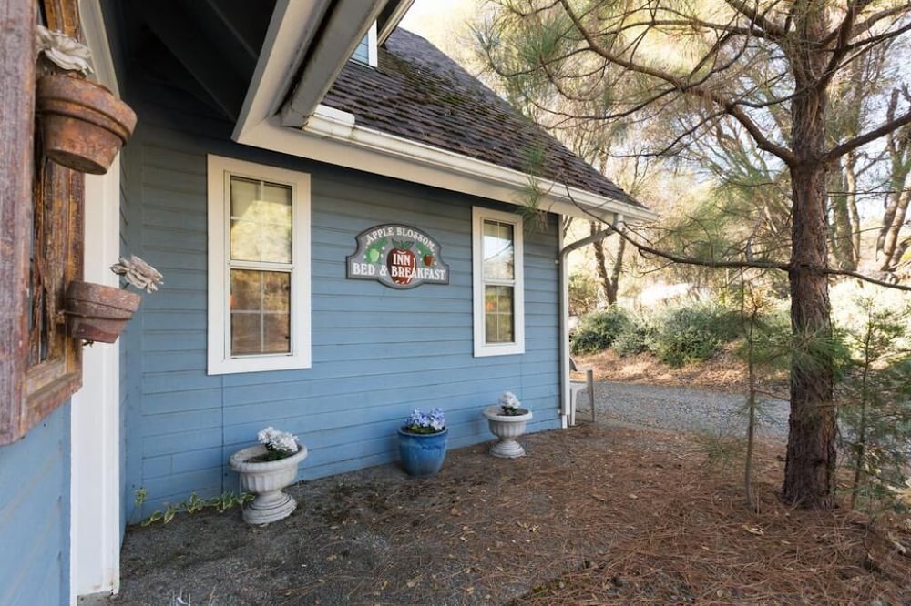 Apple Blossom Inn - photo 66