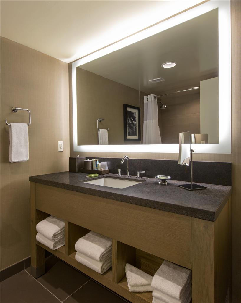 Hyatt Regency Lake Tahoe Resort Spa and Casino - photo 7