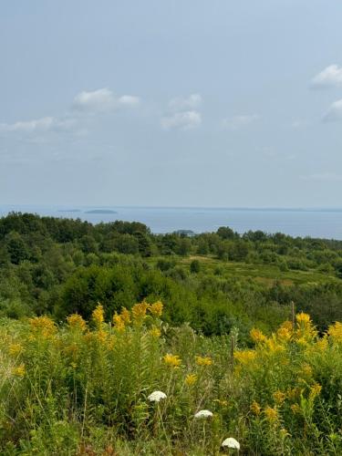 Hideaway Inn Maine - photo 21