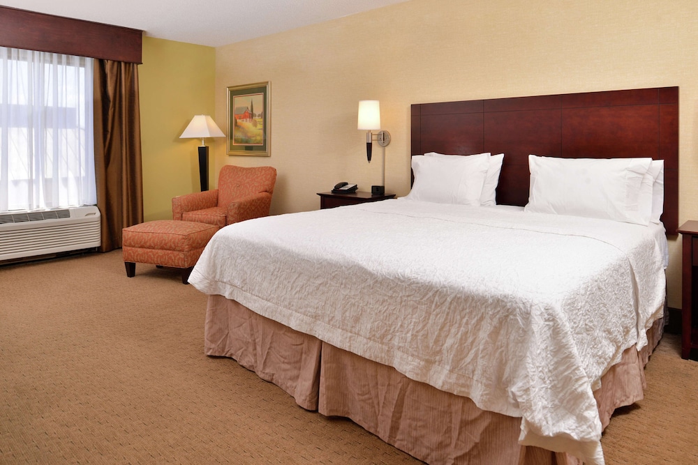 Hampton Inn Staunton - photo 19