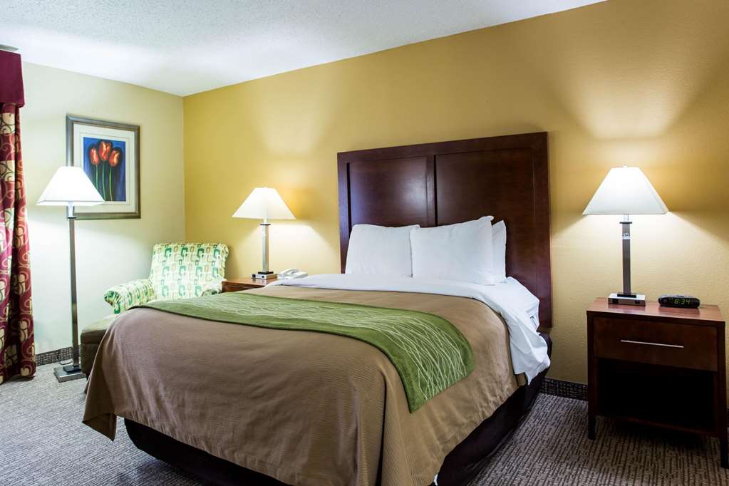 Comfort Inn Columbia West - photo 8