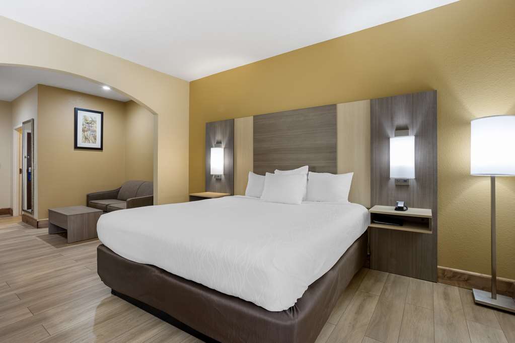 Best Western Plus Springfield Airport Inn - photo 14