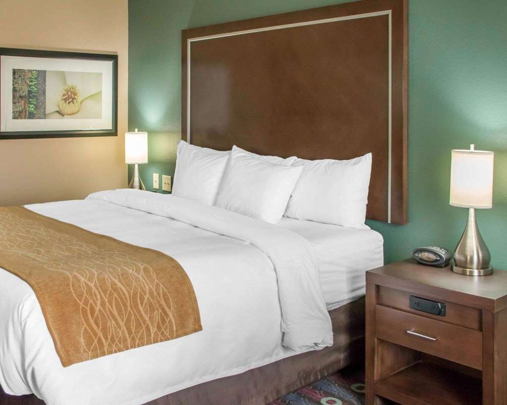 Comfort Inn & Suites San Marcos near Outlet Mall - photo 16