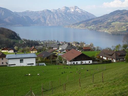 Biohof Schwanser — Steinbach Am Attersee — photo 4