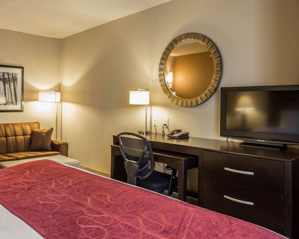 Comfort Suites Huntersville near Lake Norman - photo 26