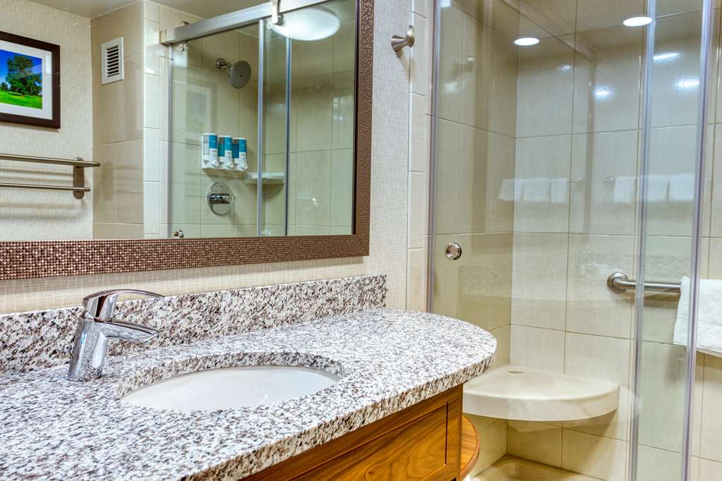 Drury Inn & Suites St. Louis Collinsville - photo 22