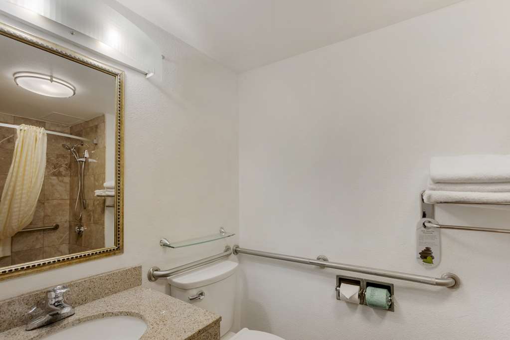 Best Western Plus Reading Inn & Suites - photo 44