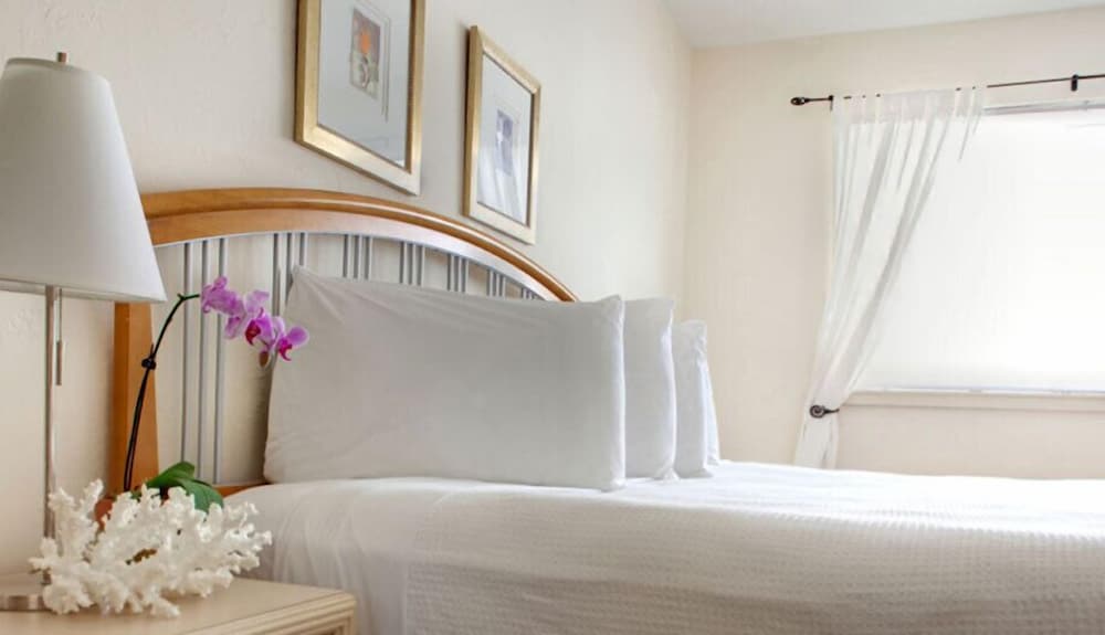 Suites of Dorchester - photo 13
