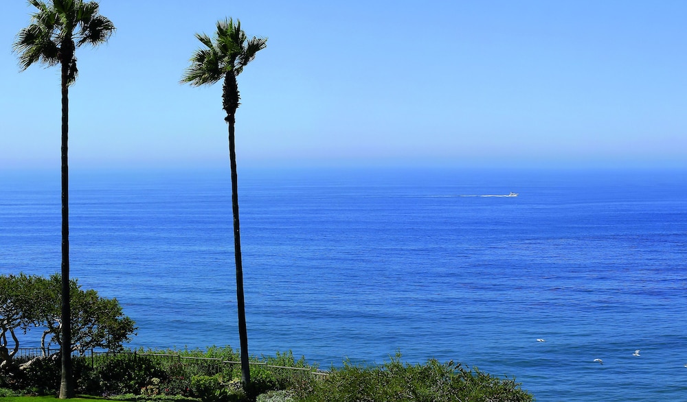 The Ritz Carlton Laguna Niguel - photo 82