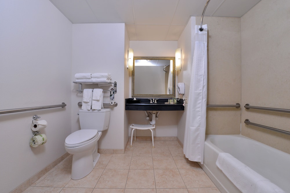 Holiday Inn Madison at The American Center by IHG - photo 24