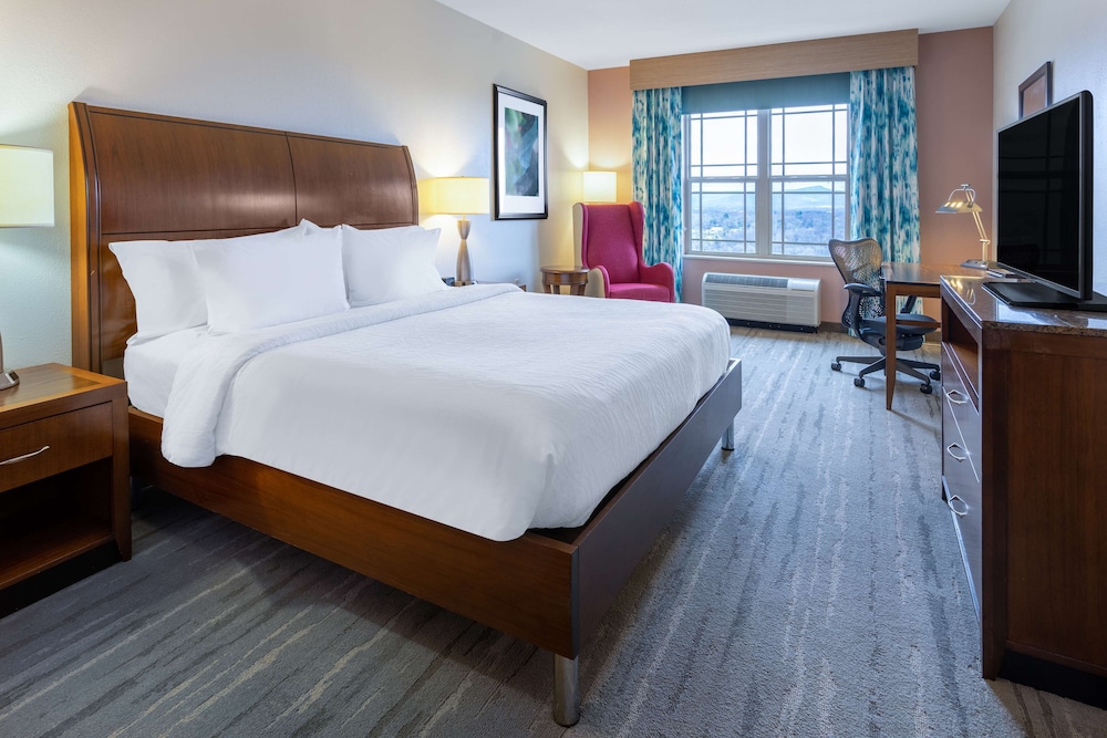 Hilton Garden Inn Roanoke - featured photo