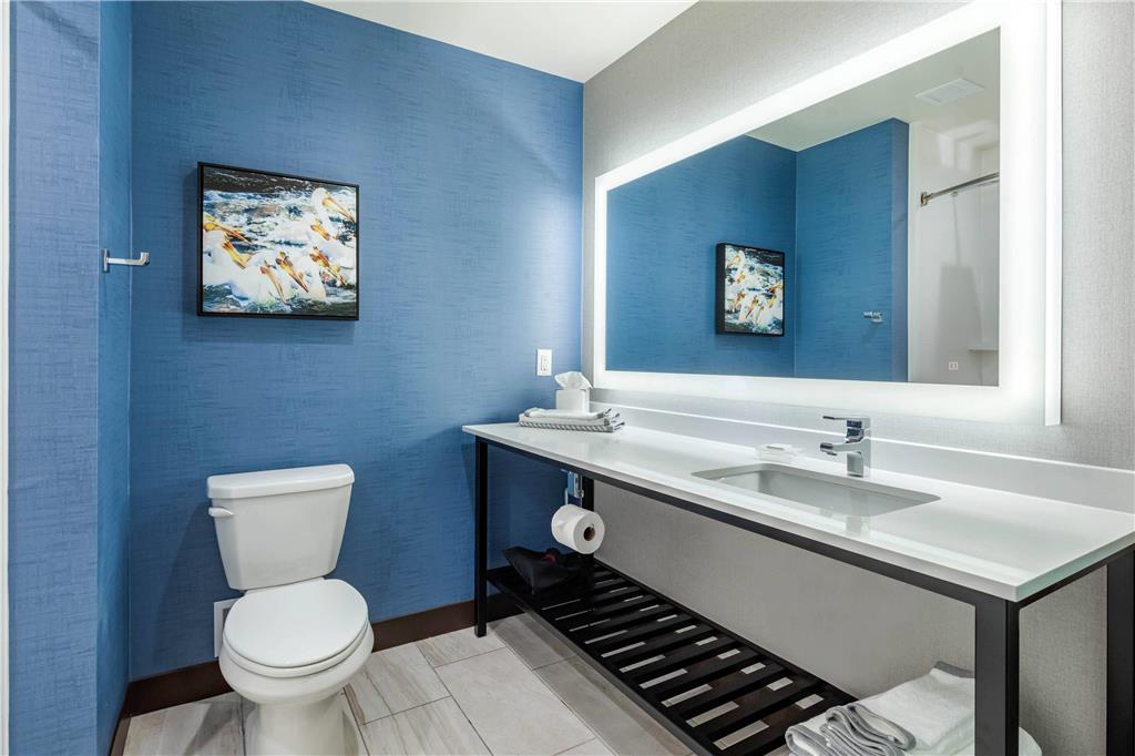 Cambria Hotel Bettendorf Quad Cities - photo 22