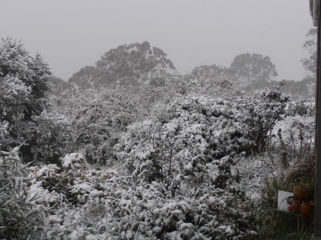 Springmead B&B — Lithgow — photo 3
