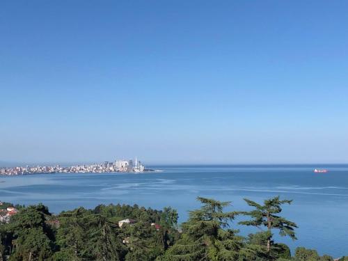 Green Cape Holiday Home — 4-Star Luxury Hotel in Chakvi, Georgia