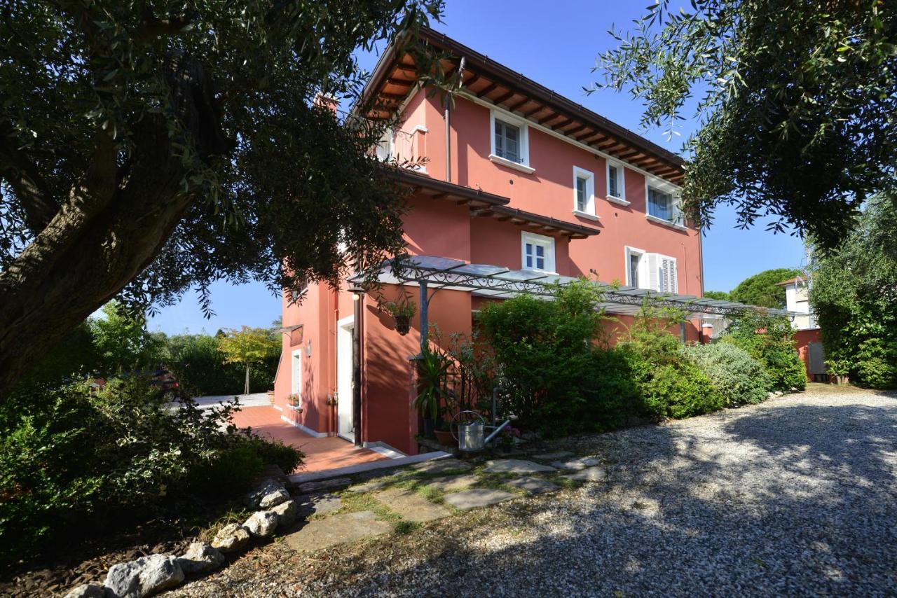 In Versilia — Seravezza — photo 3