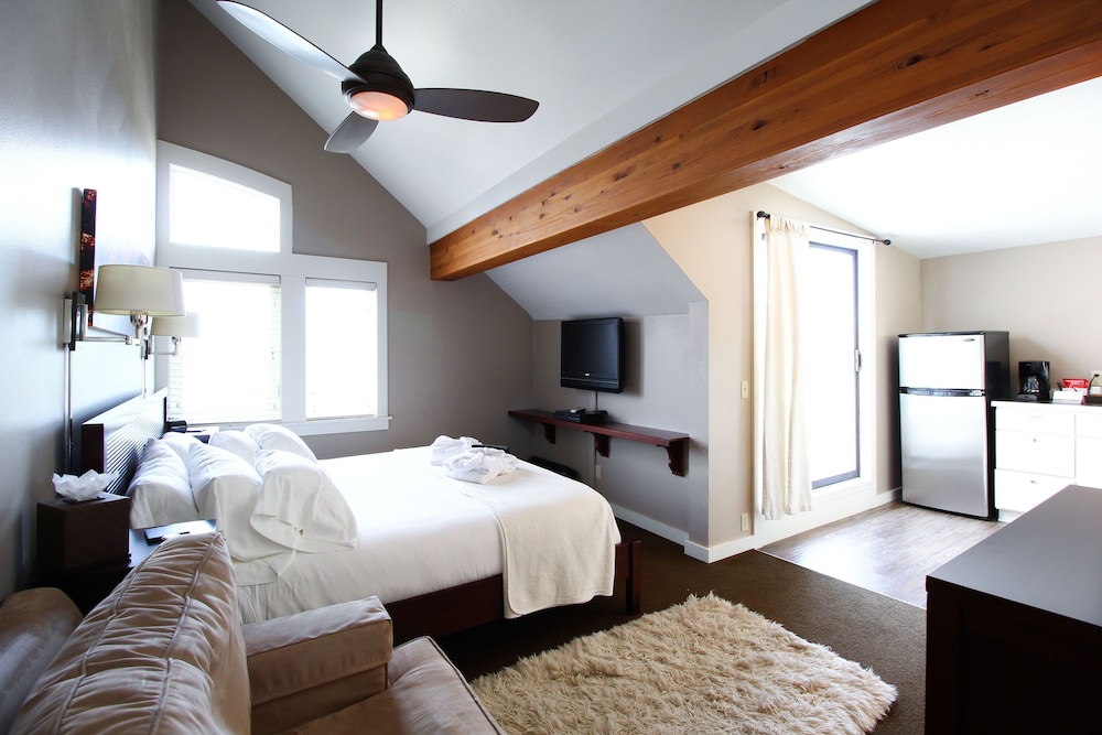 Bird Rock Hotel - photo 11