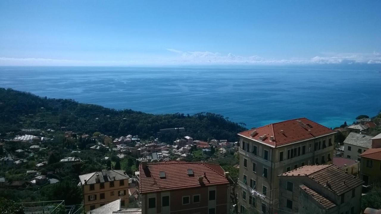 Host Alla Millenaria — Camogli — photo 4