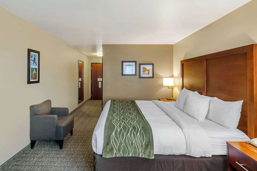 Comfort Inn University Montana - photo 4
