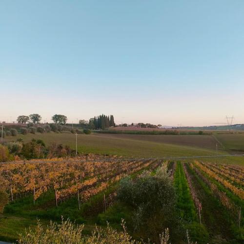 Villa vista vigneto — 4-Star Luxury Hotel in Cortona, Italy