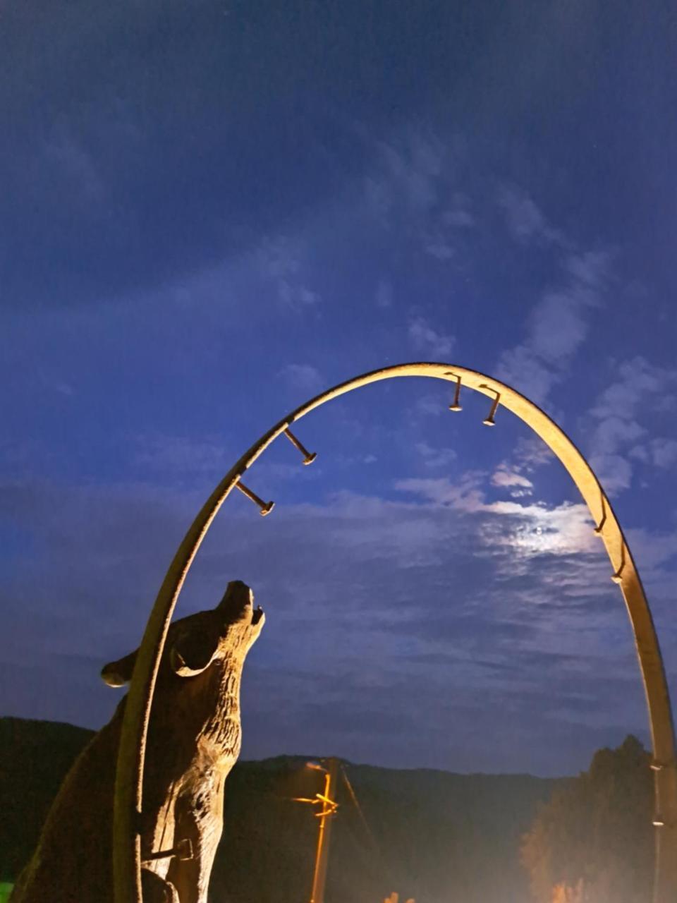 Le Repere du Loup - last minute hotel in Unknown City