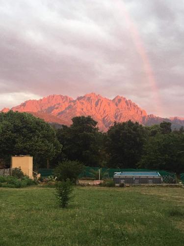 Le Coin Tranquille pet-friendly hotel Morosaglia