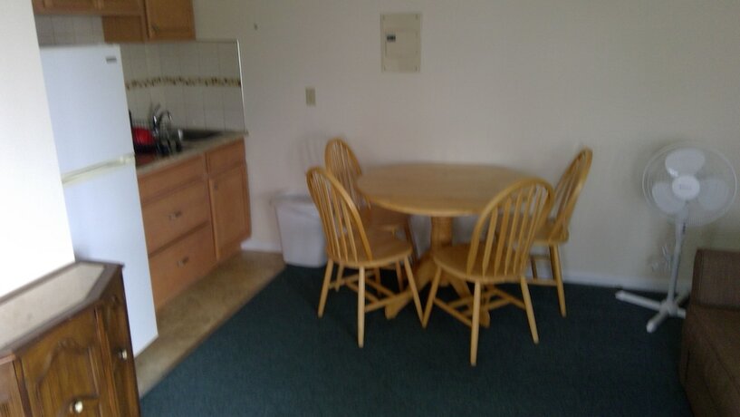 Village Green Motel - photo 9