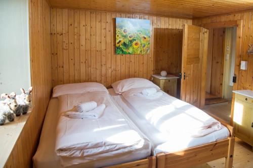 Haus Schmitten Davos — Schmitten — photo 3