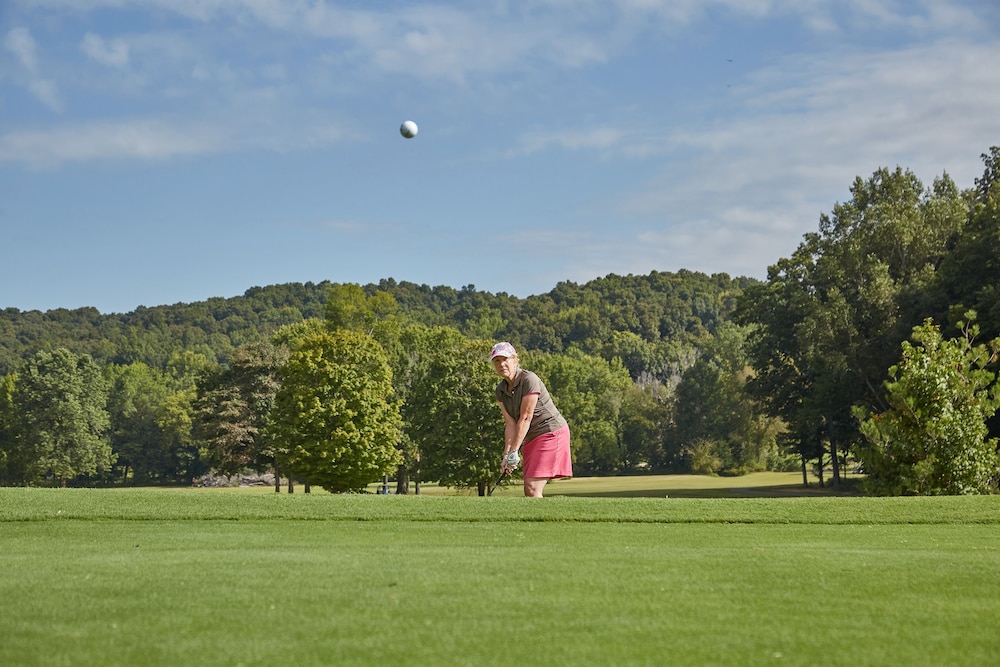 Lake Barkley State Resort - photo 48