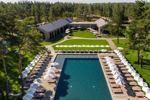 Shelest in Vyshhorod, Ukraine