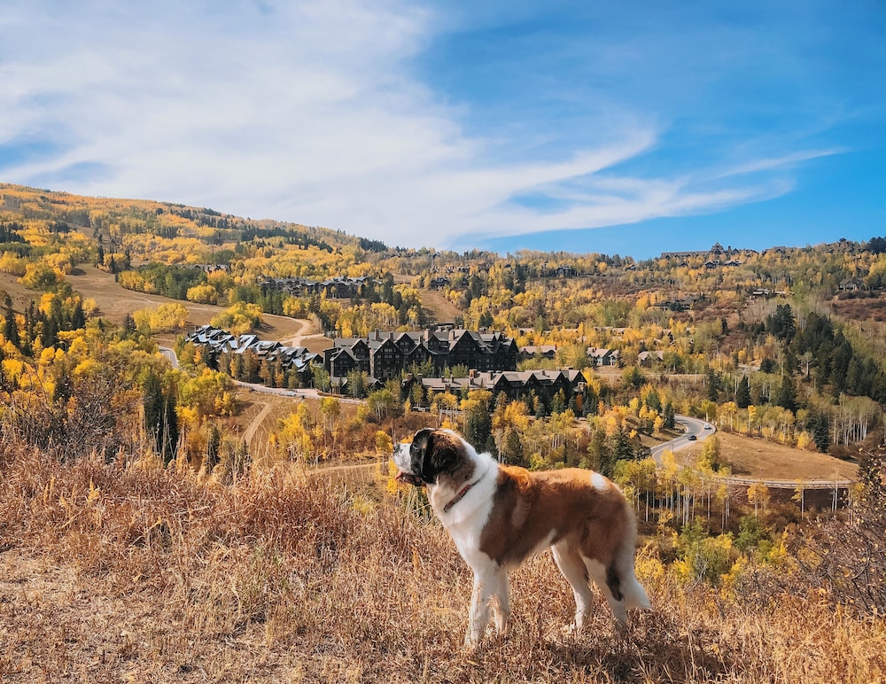The Ritz Carlton Bachelor Gulch - photo 75